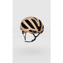 KASK Protone Icon