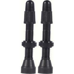 WTB TCS AL 34mm Presta Valve